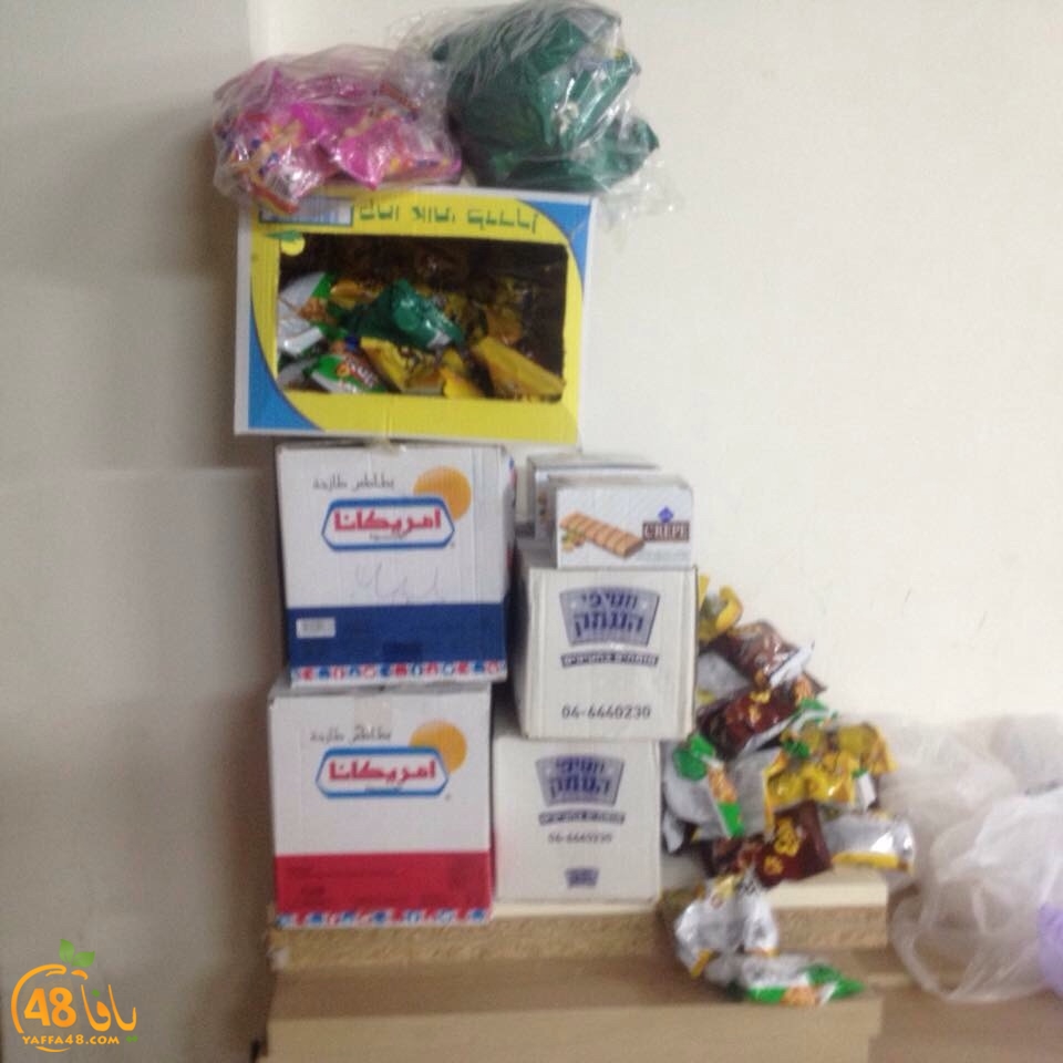 folvson saryer (5).jpg